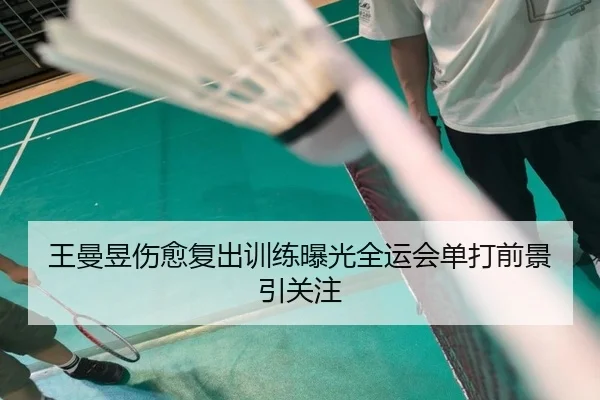 王曼昱伤愈复出训练曝光全运会单打前景引关注（dafabet）